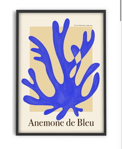 Anemone de Bleu