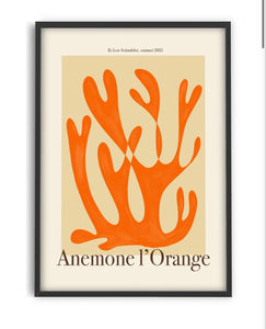 Anemone l’Orange